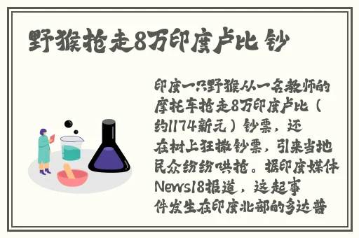 一个人免费观看完整视频日本